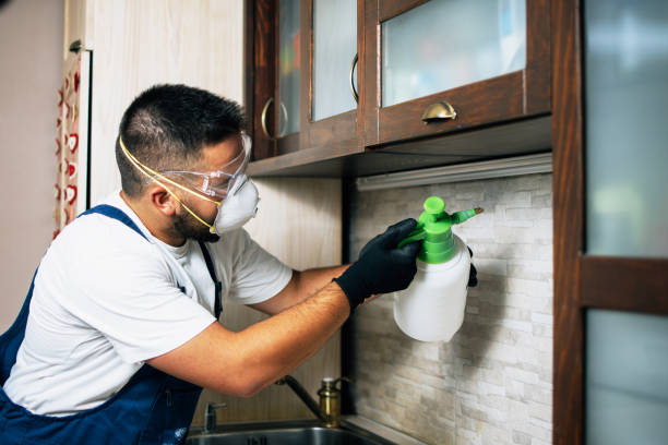 Best Best Pest Control Companies  in White Settlement, TX