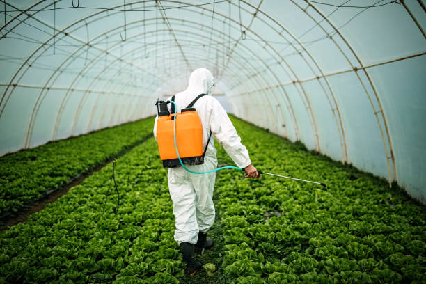 Best Ant Control Services  in White Settlement, TX