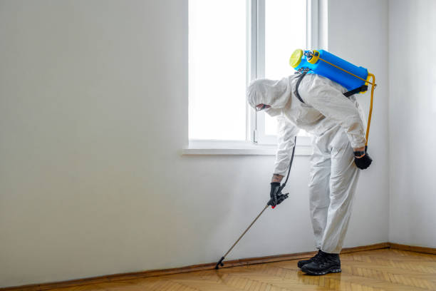 White Settlement, TX Pest Control Company