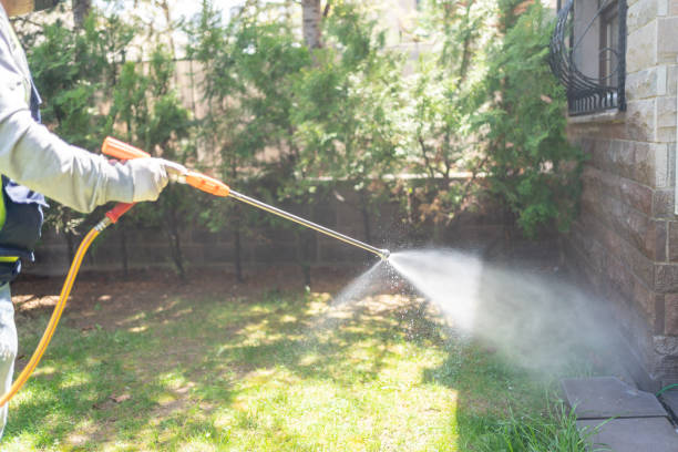 Professional Pest Control in White Settlement, TX