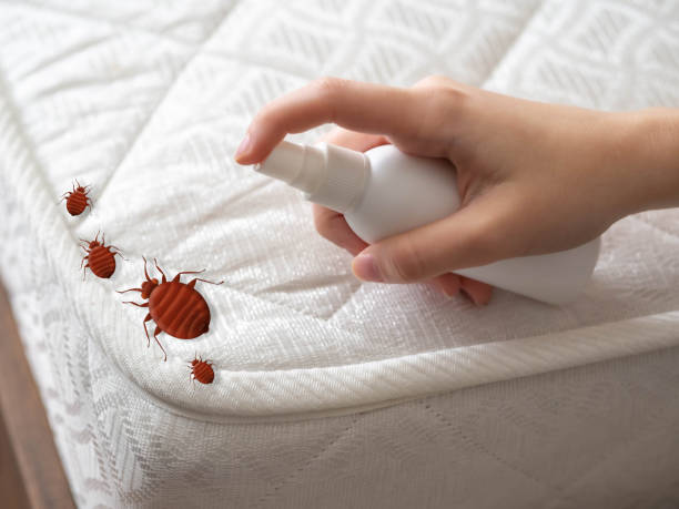 Best Pest Control Near Me  in White Settlement, TX
