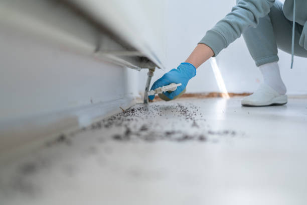 Best Bed Bug Extermination  in White Settlement, TX